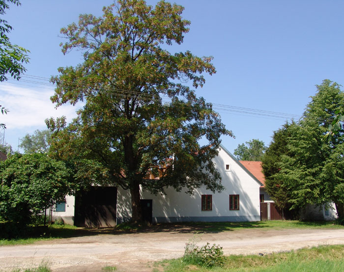 Ubytování Jižní Čechy, Stráž nad Nežárkou, Jindřichův Hradec,
		Třeboň, Pístina, Penzion U Houšků